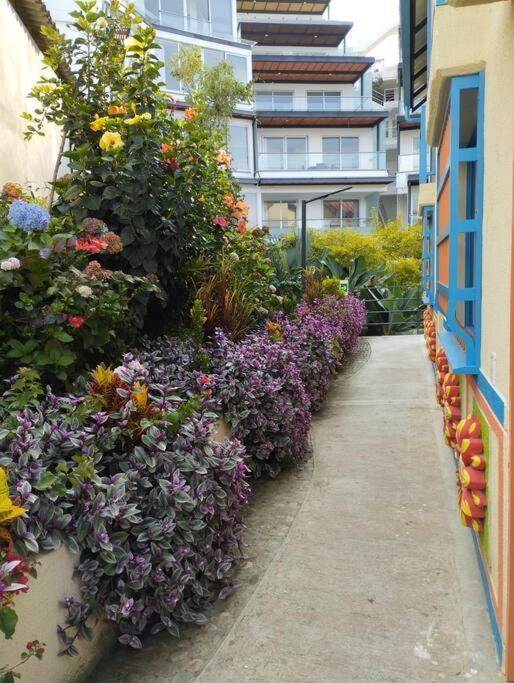 Apto Nuevo, Tranquilo,bonito,5 Min Plaza Principal Apartment *